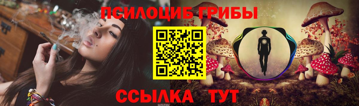 Псилоцибиновые грибы Magic Shrooms Соль-Илецк